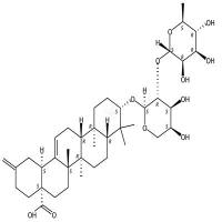 刺五加皂苷E  CAS号：114912-36-6