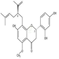 苦参酮  CAS号：34981-26-5