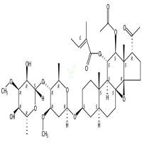 通关藤皂苷G  CAS号：191729-43-8