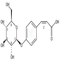 香豆酸-4-葡萄糖苷   CAS号：117405-48-8