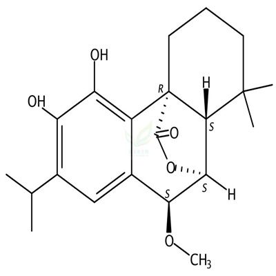7alpha-甲氧基迷迭香酚  CAS号：113085-62-4