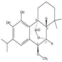 7alpha-甲氧基迷迭香酚  CAS号：113085-62-4