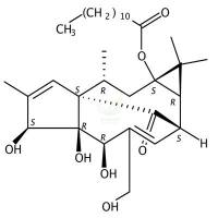 13-O-正十二烷酸巨大戟酯  CAS号：54706-70-6