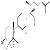 表大戟二烯醇  CAS号：514-46-5