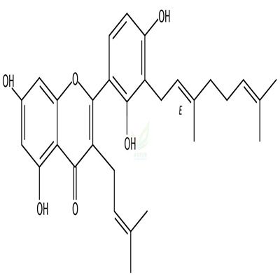 3'-牻牛儿基-3-异戊烯基-5,7,2',4'-四羟基黄酮  CAS号：1334309-44-2