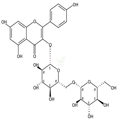 山柰酚-3-O-龙胆二糖苷  CAS号：22149-35-5
