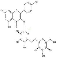山柰酚-3-O-龙胆二糖苷  CAS号：22149-35-5