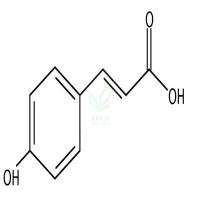 对羟基肉桂酸  CAS号：7400-08-0