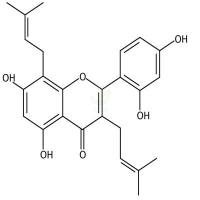 桑黄酮  CAS号：62949-79-5