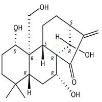 尾叶香茶菜丙素  CAS号：73981-34-7