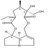 倒千里光碱  CAS号：480-54-6
