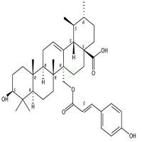 27-对香豆酰氧基熊果酸  CAS号：73584-67-5
