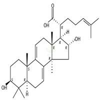 16α-羟基松苓新酸  CAS号：176390-66-2