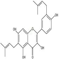 粗毛甘草素A  CAS号：142474-52-0
