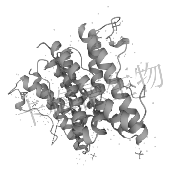 白细胞介素（IL-6）介绍