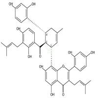 桑皮酮H  CAS号：76472-87-2