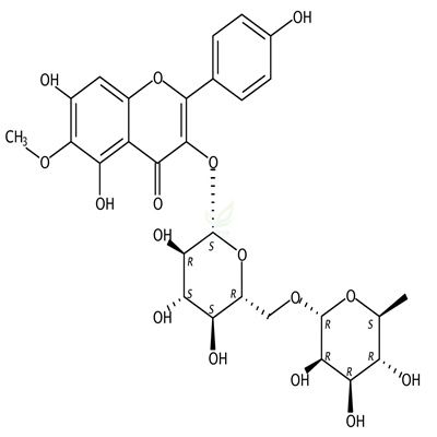 6-甲氧基山柰酚-3-O-芸香糖苷  CAS号：403861-33-6
