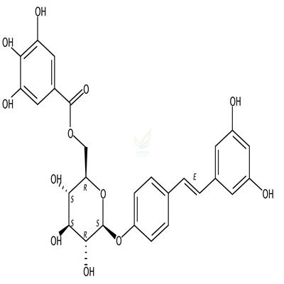 白藜芦醇-4'-O-β-D-(6''-O-没食子酰)葡萄糖苷  CAS号：64898-03-9