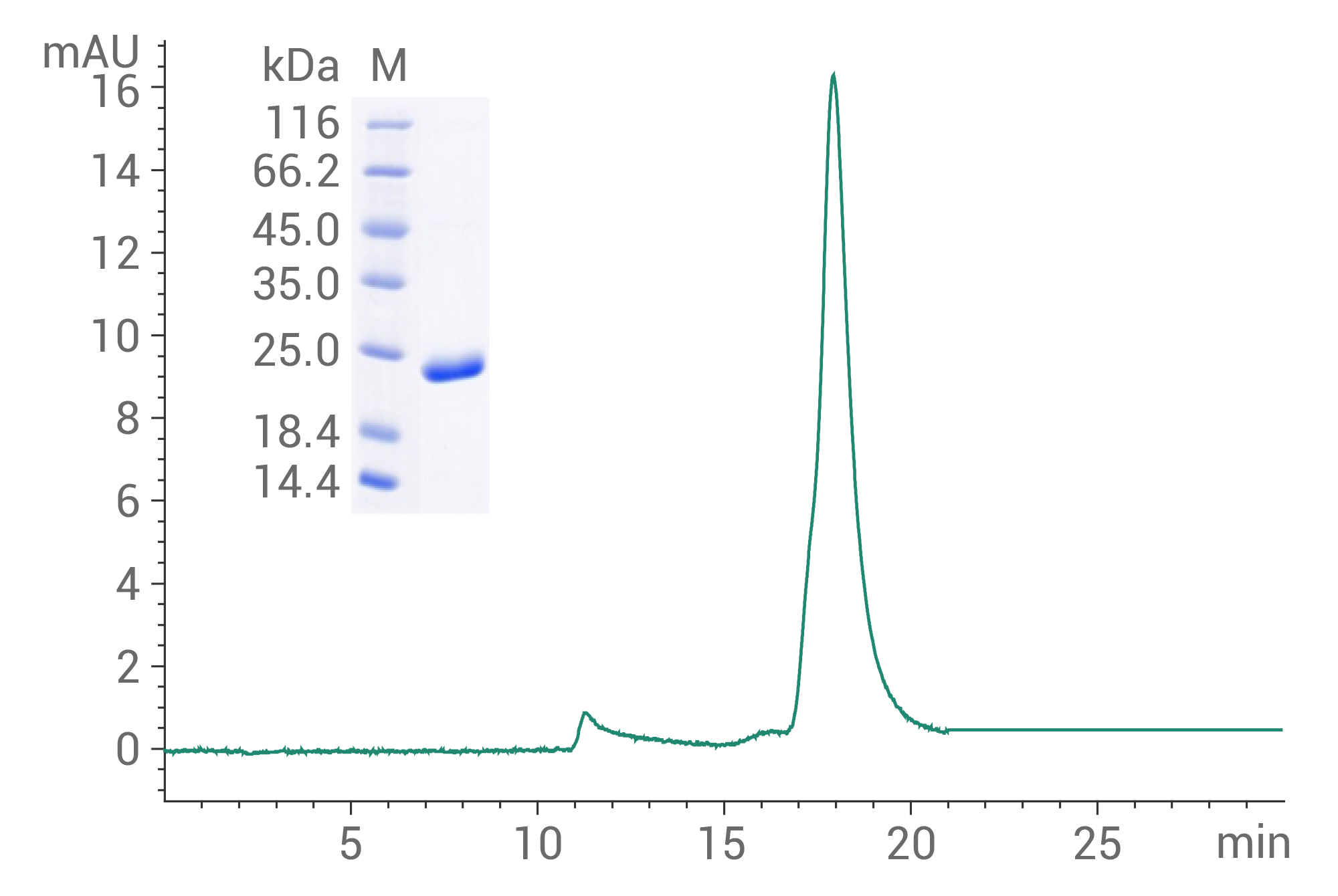 非酒精性脂肪性肝炎NASH临床赛道的百米冲刺，谁将成为胜者？