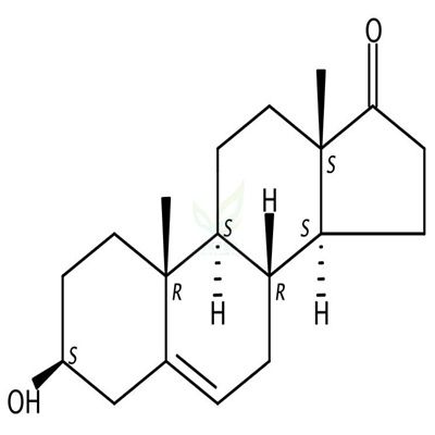 脱氢表雄酮  CAS号：53-43-0