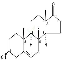 脱氢表雄酮  CAS号：53-43-0