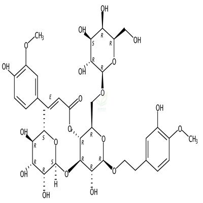 焦地黄苯乙醇苷B1  CAS号：120406-37-3