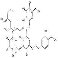 焦地黄苯乙醇苷B1 CAS号:120406-37-3