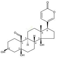 蟾蜍它里定  CAS号：465-90-7