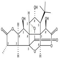 白果苦内酯M  CAS号：15291-78-8