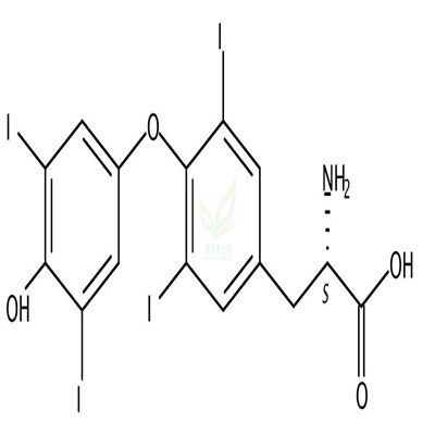 L-甲状腺素  CAS号：51-48-9