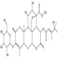 鸦胆子苷L  CAS号：99132-97-5