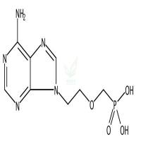 阿德福韦  CAS号：106941-25-7