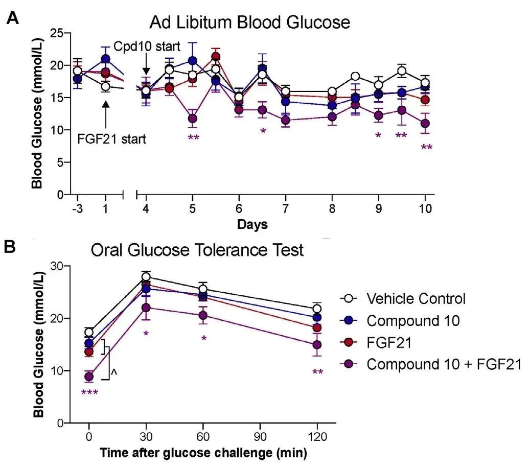 非酒精性脂肪性肝炎NASH临床赛道的百米冲刺，谁将成为胜者？