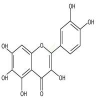 栎草亭  CAS号：90-18-6