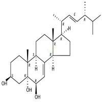 啤酒甾醇  CAS号：516-37-0