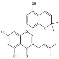 桑皮酮A  CAS号：62949-77-3