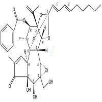 芫花酯甲  CAS号：60195-70-2