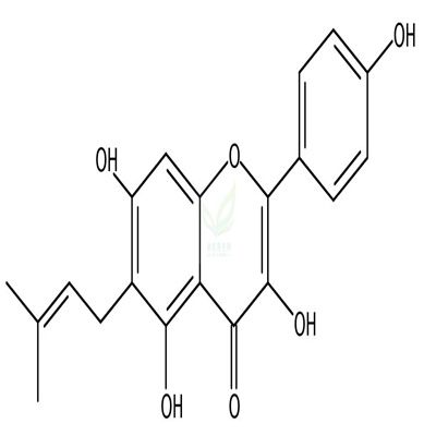 甘草黄酮醇  CAS号：60197-60-6