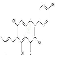 甘草黄酮醇  CAS号：60197-60-6