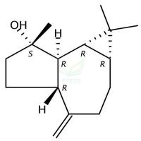 斯巴醇  CAS号：6750-60-3