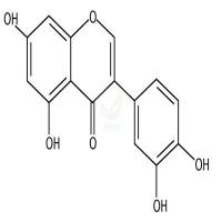 奥洛波尔  CAS号：480-23-9