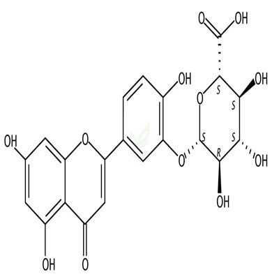 木犀草素-3'-葡萄糖醛酸苷  CAS号：53527-42-7