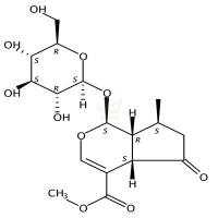马鞭草苷  CAS号：548-37-8