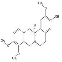 紫堇根碱  CAS号：6018-40-2