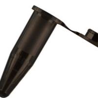 肌球蛋白重链6(MYH6)抗体