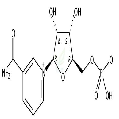 β-烟酰胺单核苷酸  CAS号：1094-61-7