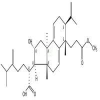 茯苓酸AM  CAS号：151200-92-9
