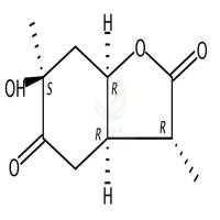 芍药内苷A  CAS号：98751-79-2