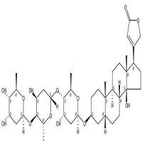 毛地黄素  CAS号：71-63-6
