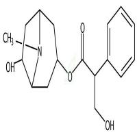 消旋山莨菪碱  CAS号：17659-49-3